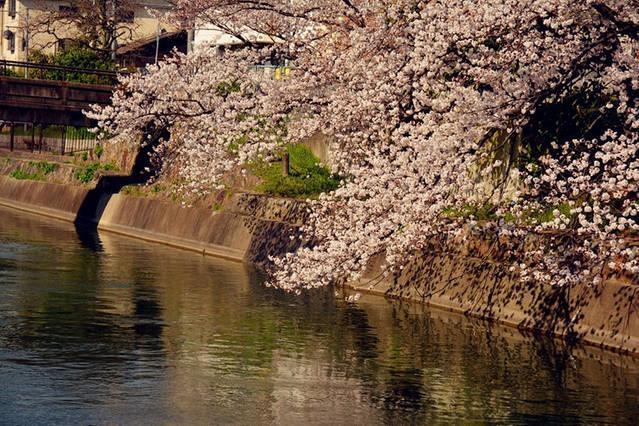 Art Stay In Tofukuji Киото Екстериор снимка